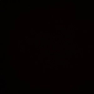 Meet your Posher, Rogelio